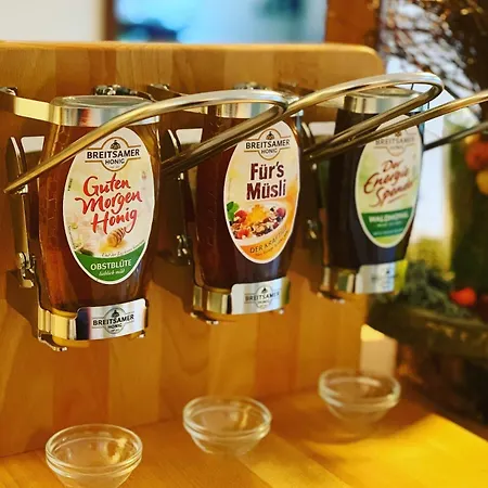 レジデンツ　ホテル　ギーセン ホテル 3*