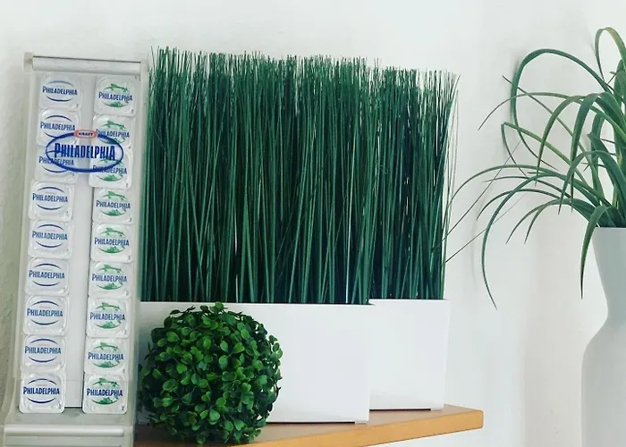 酒店 吉森莱西登斯酒店 Gießen