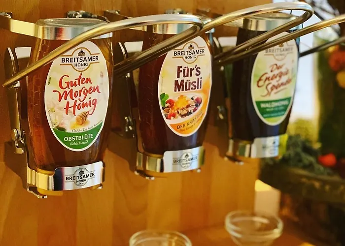 Residenz Hotel Giessen Hotel 3*