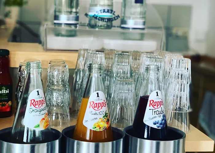 吉森莱西登斯酒店 Gießen